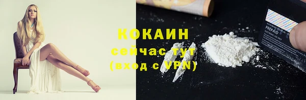 индика Невель