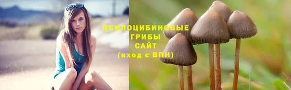 винт Надым