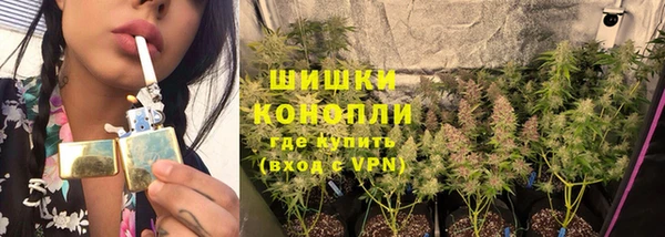 винт Надым