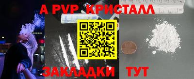 мяу мяу мука Беслан