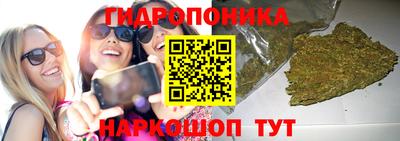 прущие крисы Волжск