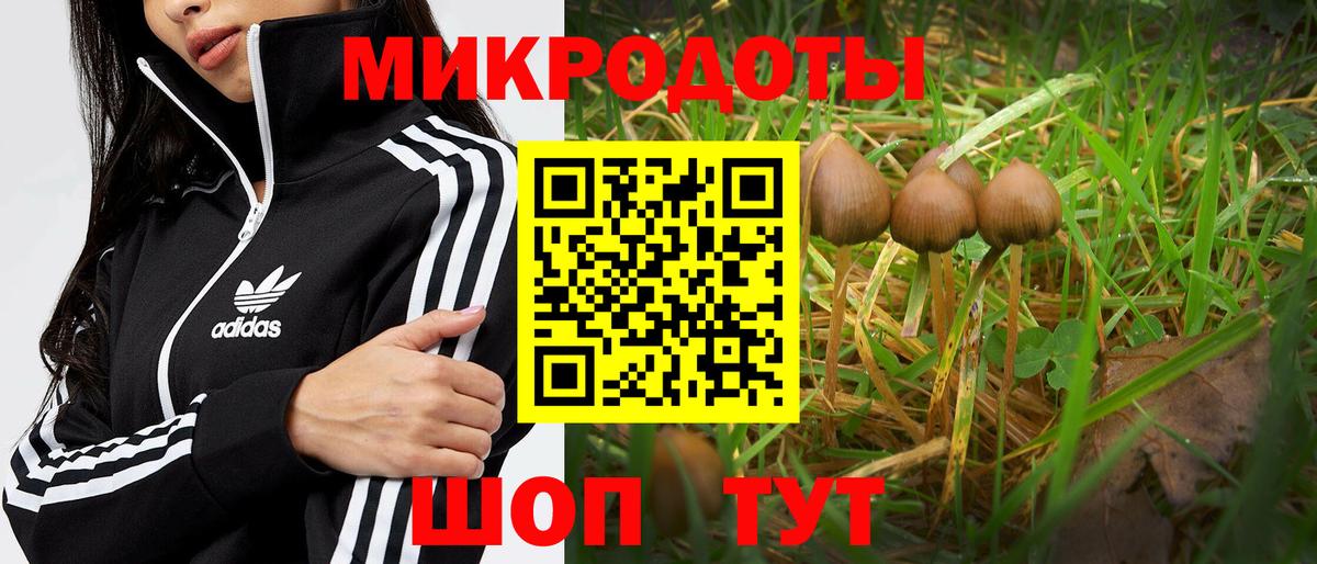 Псилоцибиновые грибы мицелий  Вход с VPN  Старая Русса  наркошоп  Псилоцибиновые грибы Cubensis 