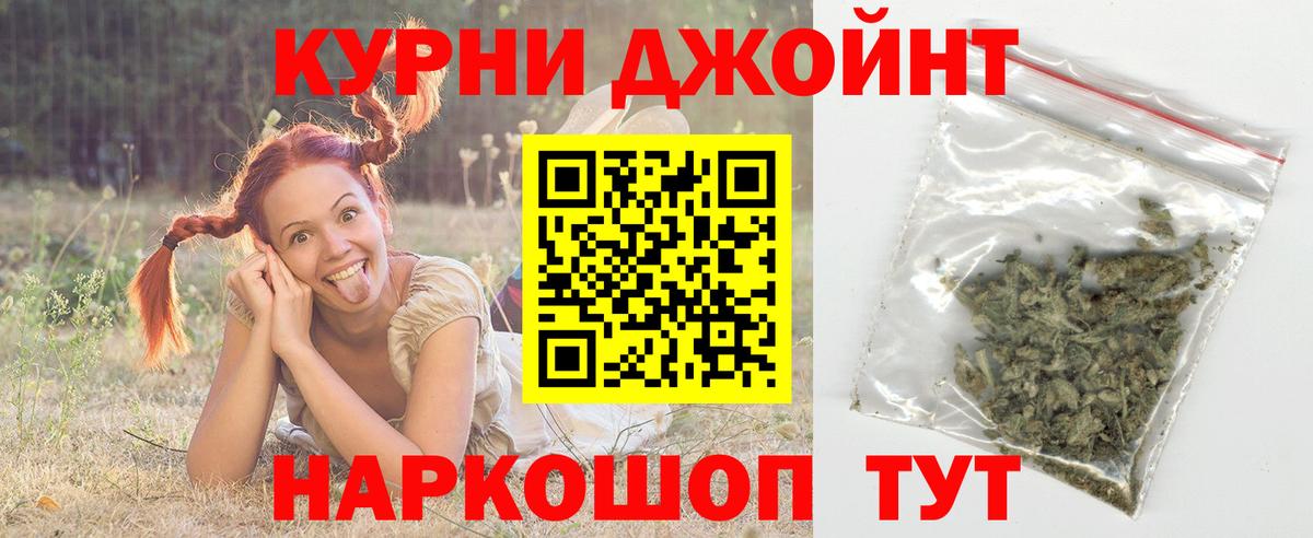 Канабис White Widow  Каннабис SATIVA & INDICA  Старая Русса  Конопля семена  Марихуана MAZAR 